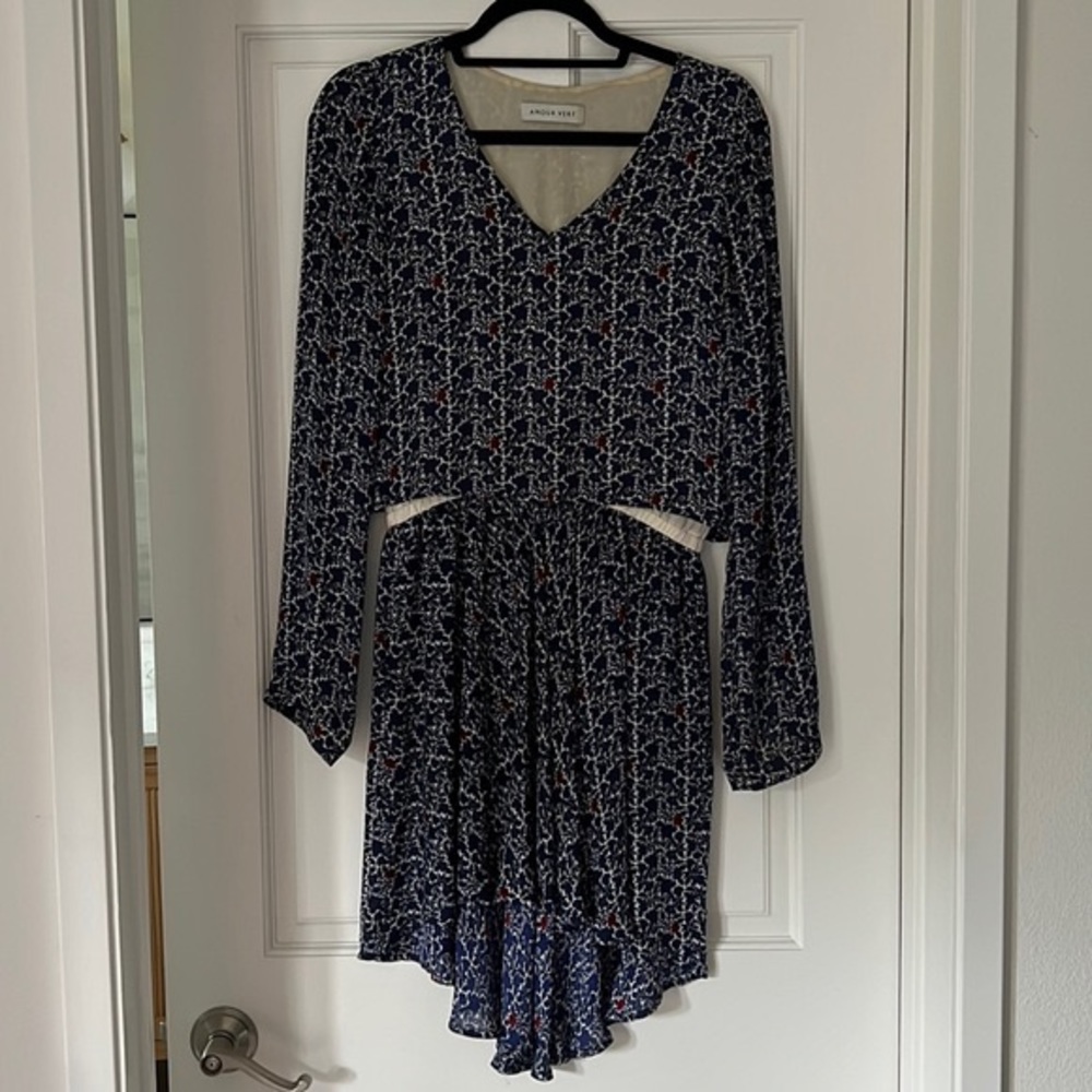 Amour Vert Blue & Red Floral Dress